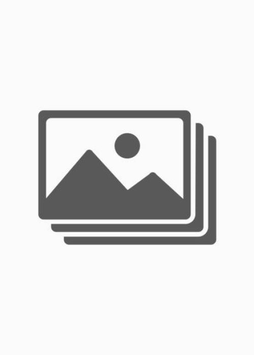 picture icon